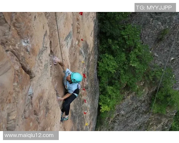 实时新闻深圳攀岩队与南京攀岩队赛后战术分析与总结探讨